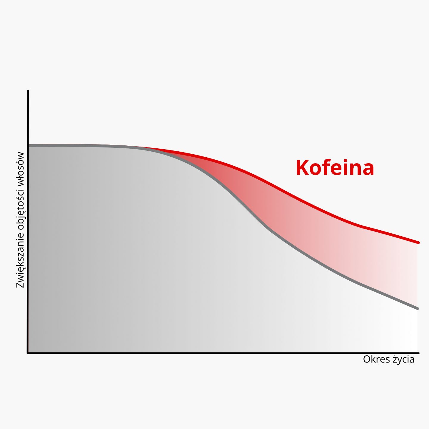 (Polština) (53)
